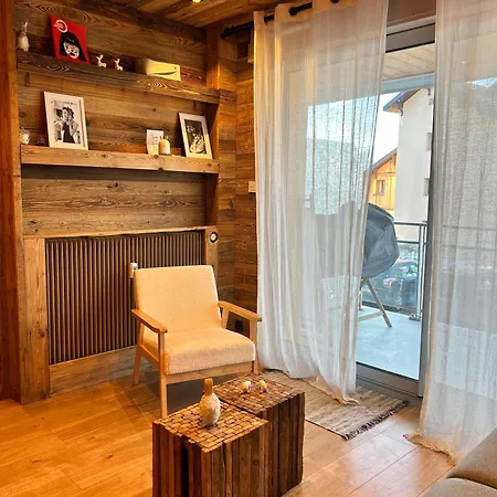 Le Majestic 2 Skis Aux Pied Daire *