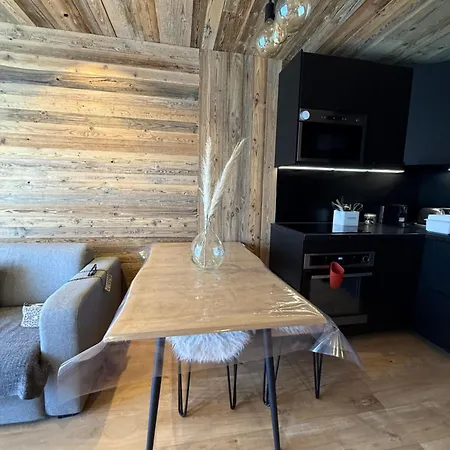Le Majestic 2 Skis Aux Pied