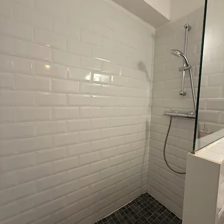 Le Majestic 2 Skis Aux Pied Apartment Alpe d'Huez